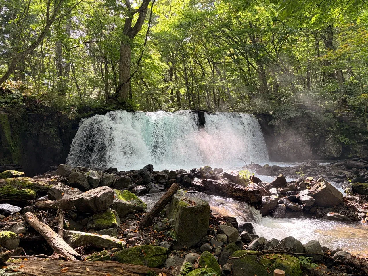 周囲の林と岩場を含む銚子大滝の全景