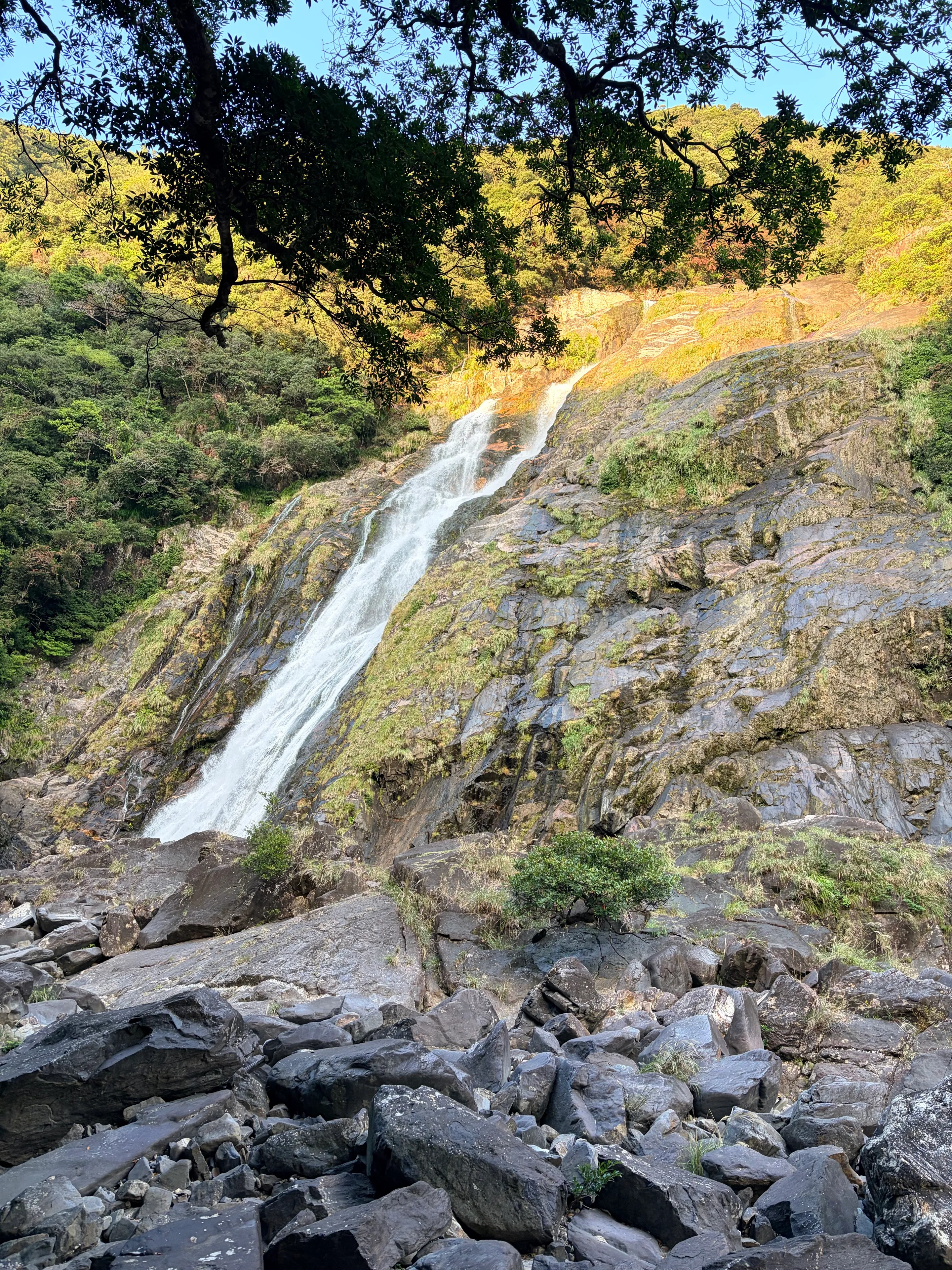手前の大きな岩と木の枝越しに見上げた大川の滝